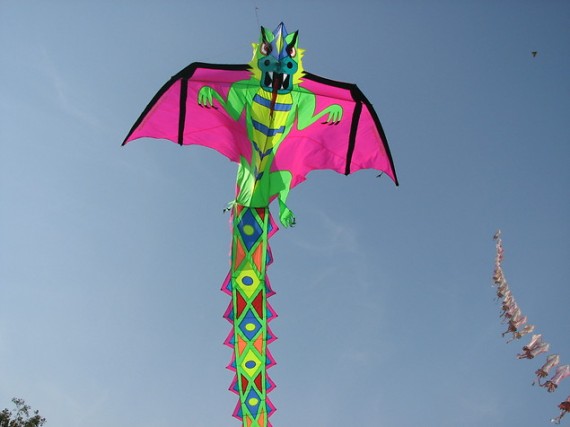 International Kite Festival 2010 – Ahmedabad